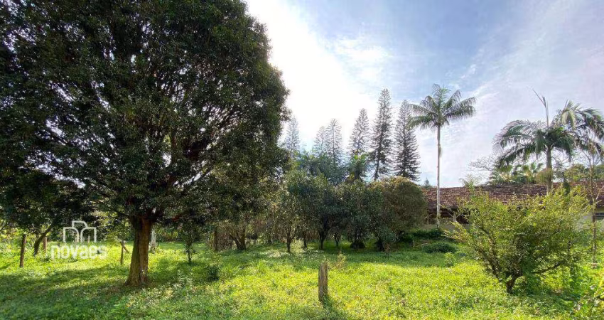 Terreno à venda, 446100 m² por R$ 1.990.000,00 - Barrancos - Garuva/SC