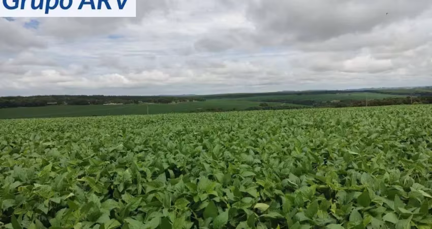 Fazenda com 145 alqueires em Itapetininga SP