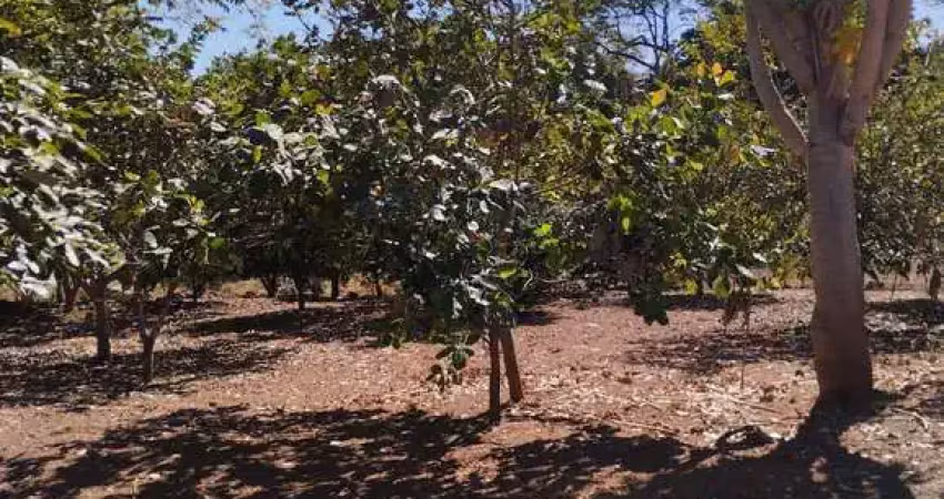 Vende-se fazenda com 3qts, 6 mil metros escriturados , fazenda santana, petrolina de goiás, go