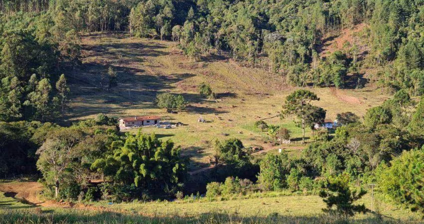 Sítio à venda, 338800 m² por R$ 2.500.000,00 - Vale do Rio Cachoeira - Piracaia/SP