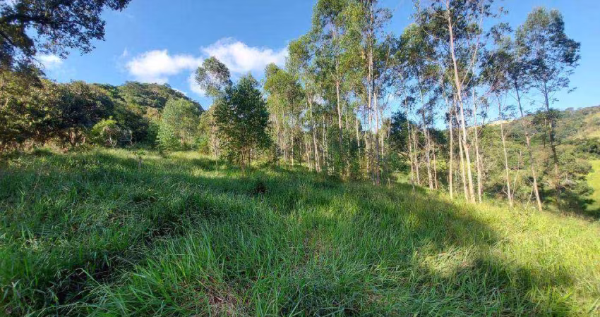 Sítio à venda, 237160 m² por R$ 1.500.000,00 - Canedos - Piracaia/SP