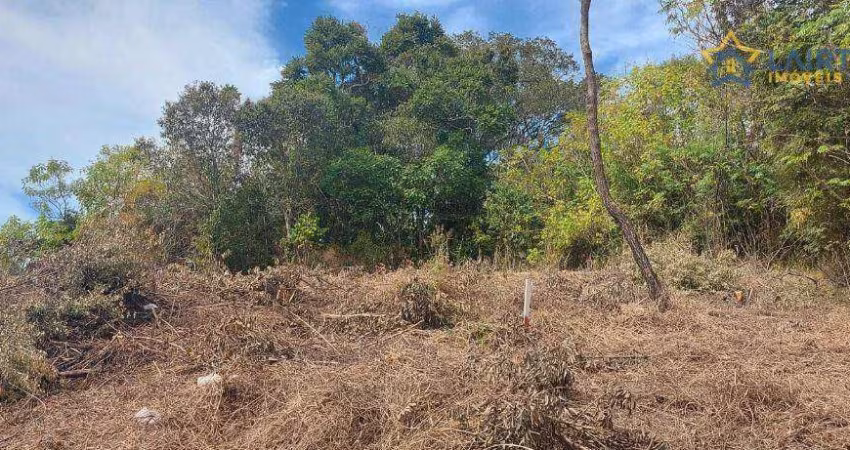Lotes Disponíveis no Bairro da Usina, Atibaia SP - Ideal para Investidores