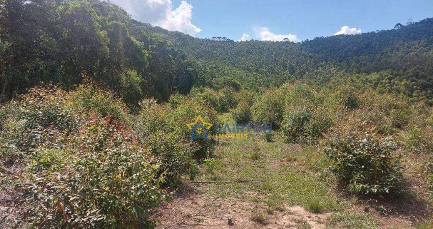 Sítio à Venda no Moinho, Nazaré Paulista – 31.000 m²