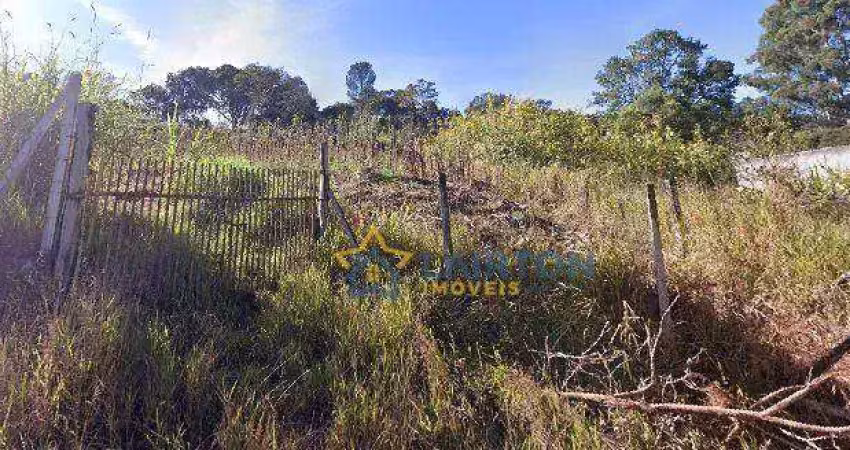 Terreno à venda com 2.025m² – amplo, arborizado e com topografia aclive!
