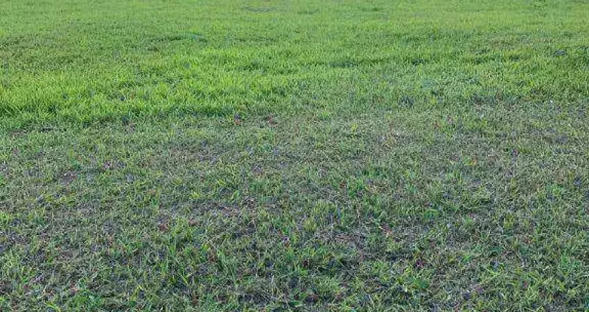 Terreno em condomínio fechado à venda no Residencial Primavera, Salto 