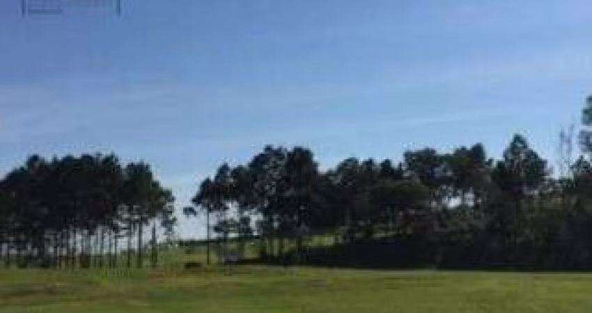 Área, 10900 m² - venda por R$ 3.900.000,00 ou aluguel por R$ 10.000,00/mês - Vila Artura - Sorocaba/SP