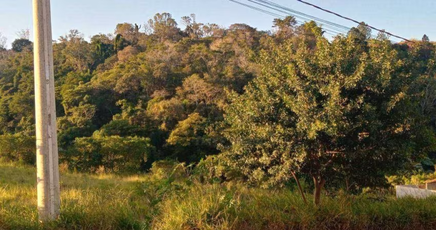 Terreno à venda, 185 m² por R$ 110.000,00 - Colina Santa Mônica - Votorantim/SP