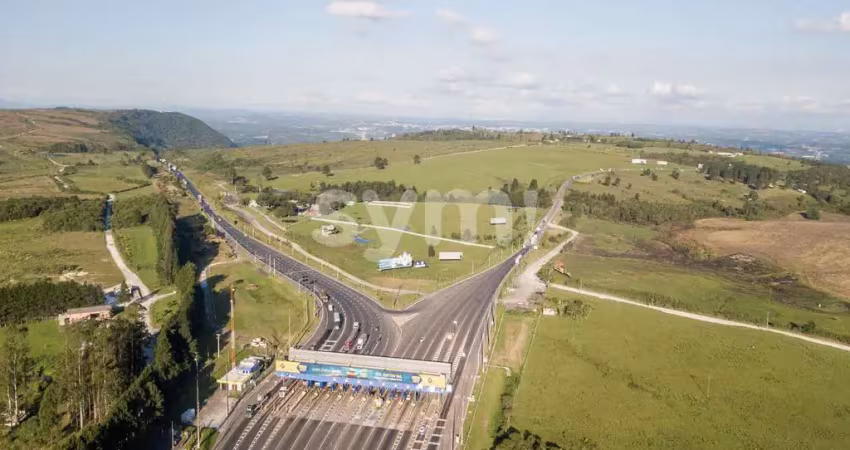 Chácara / sítio com 1 quarto à venda na Mato Grosso, 5, São Luiz do Purunã, Balsa Nova