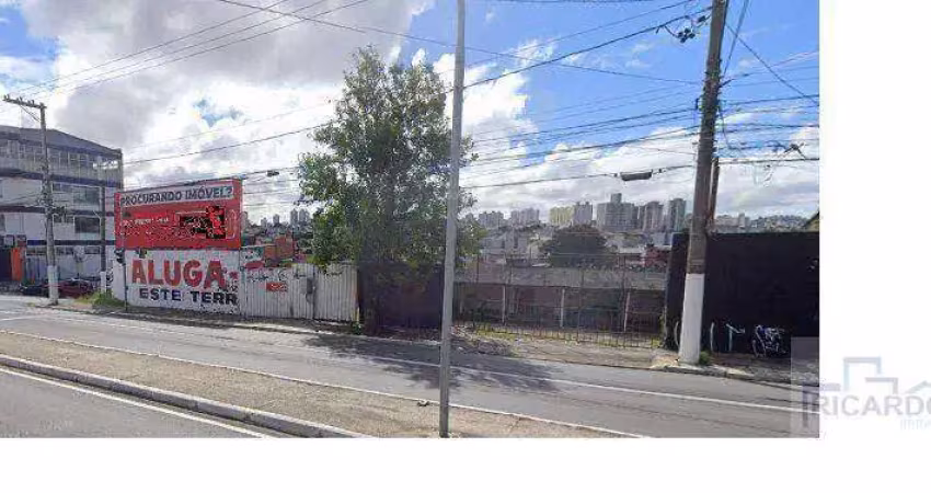 Terreno comercial para locação, avenida senador vergueiro - são bernardo do campo