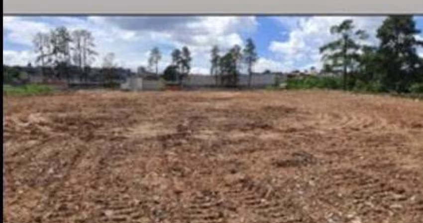 Área para alugar, 13000 m² por R$ 29.500,00/mês - Parque Santos Dumont - Guarulhos/SP
