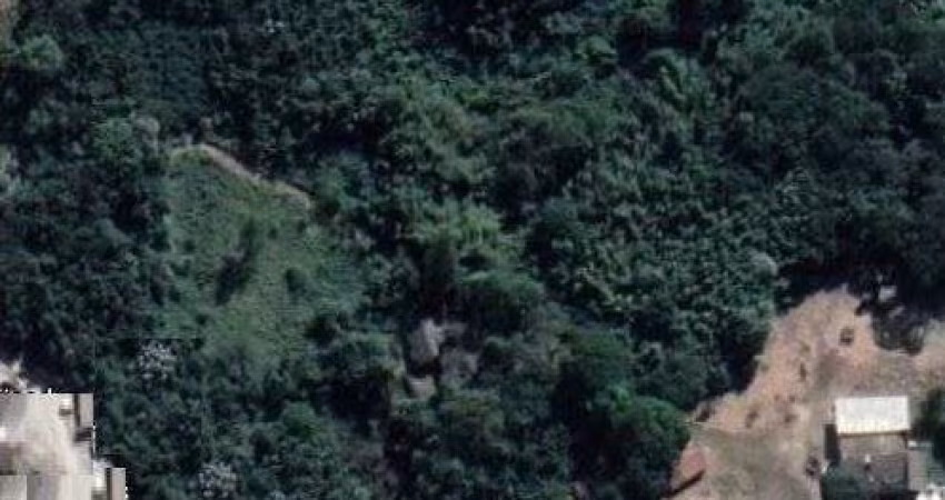 Área ZUP 1 com 29.000 m²