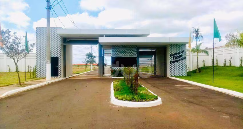 Terreno à venda, 348 m² por R$ 226.200,00 - Campestre - Piracicaba/SP