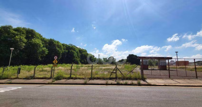 Área para Locação e Venda, 16293 m² por R$ 29.196/mês - Água Branca - Piracicaba/SP