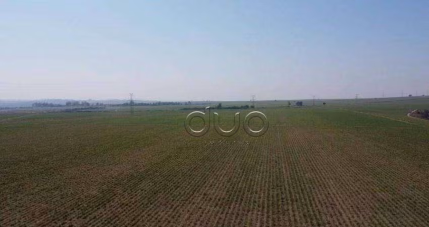 Fazenda com 1 dormitório à venda, 2220000 m² por R$ 17.000.000,00 - Centro (Ártemis) - Piracicaba/SP