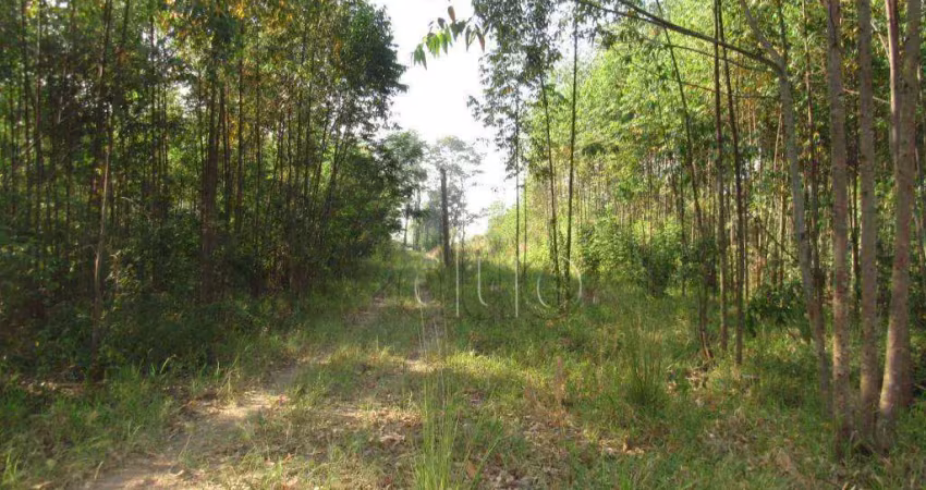 Área à venda, 45000 m² por r$ 2.250.000,00 - santa luzia - charqueada/sp