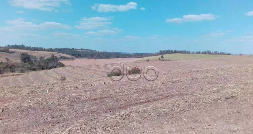 Área à venda, 4450 m² por r$ 9.200.000,00 - santa luzia - charqueada/sp