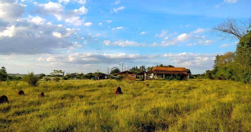 Área, 51.654 m² - venda por R$ 12.915.000 ou aluguel por R$ 50.000/mês - Conceição - Piracicaba/SP