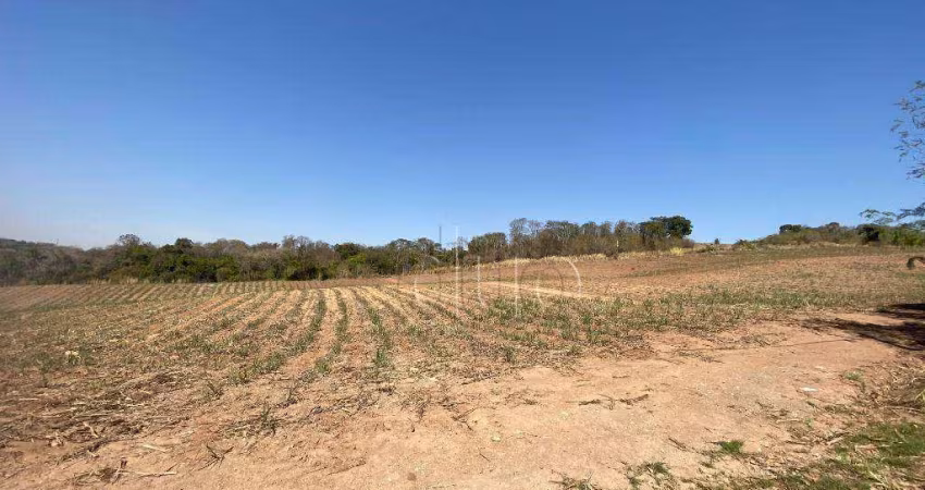 Área à venda, 396817 m² - Jardim Planalto - Piracicaba/SP