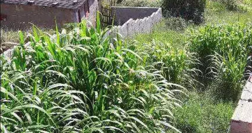 Terreno à venda na Rua Teófilo Otoni, Jardim Japão (Caucaia do Alto), Cotia