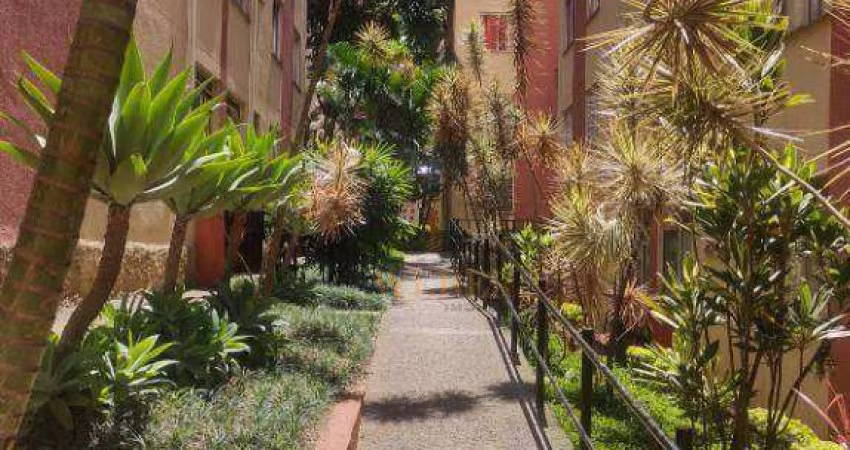 Apartamento com 3 dormitórios à venda, 70 m² por R$ 299.000,00 - Jardim Umarizal - São Paulo/SP