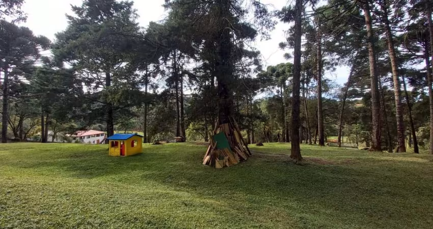 Terreno à venda na Rua Pedro Antoniacomi, Colônia Antônio Prado, Almirante Tamandaré
