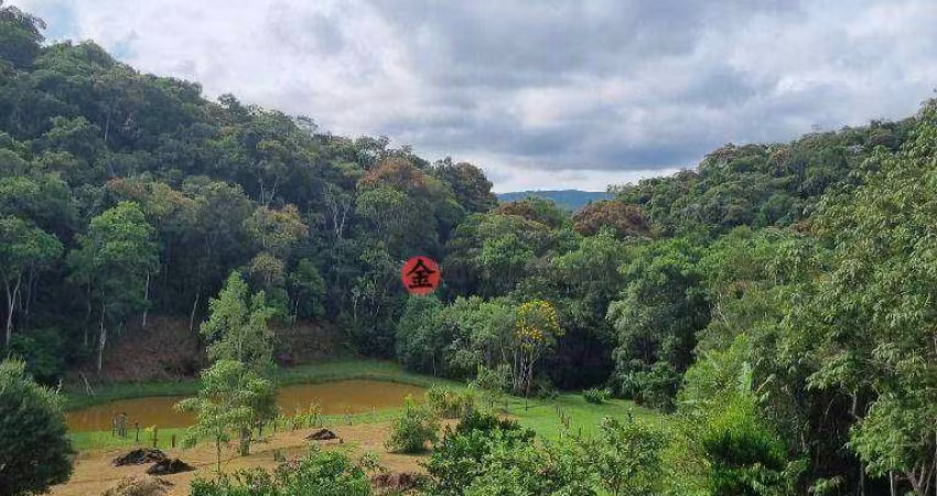 Sítio à venda, 43000 m² por R$ 980.000,00 - São Lourenço da Serra - São Lourenço da Serra/SP