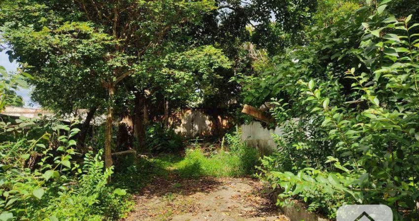 Terreno para alugar, 660 m² por R$ 8.884,82/mês - Butantã - São Paulo/SP