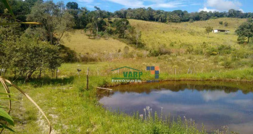 Fazenda à venda, 162300 m² por R$ 850.000,00 - Antonio dos Santos - Caeté/MG