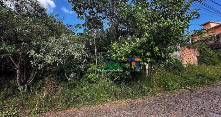 Terreno à venda por R$ 110.000 - Villa Real - Sabará/MG