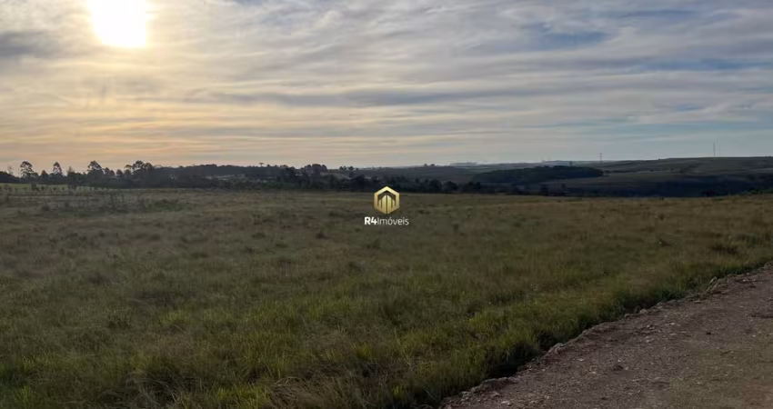 Terrenos à venda, 20.000m  - A partir de R  300.000,00 - SAO LUIZ DO PURUNA - PR