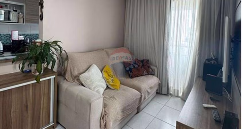 Apartamento para Alugar 48 m², planejado, Vila Branca Jacareí S.P
