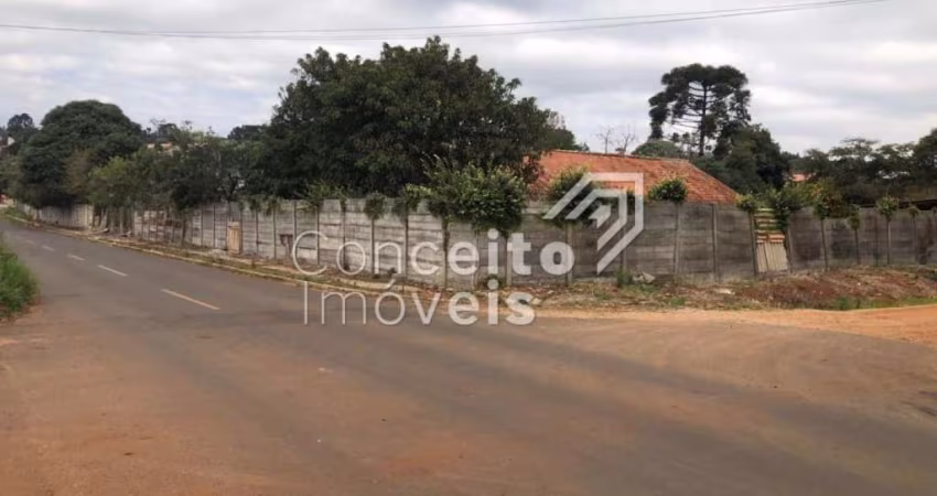 Terreno - Vila São Francisco - Uvaranas