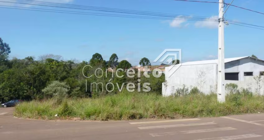 Terreno de Esquina - Cará-Cará