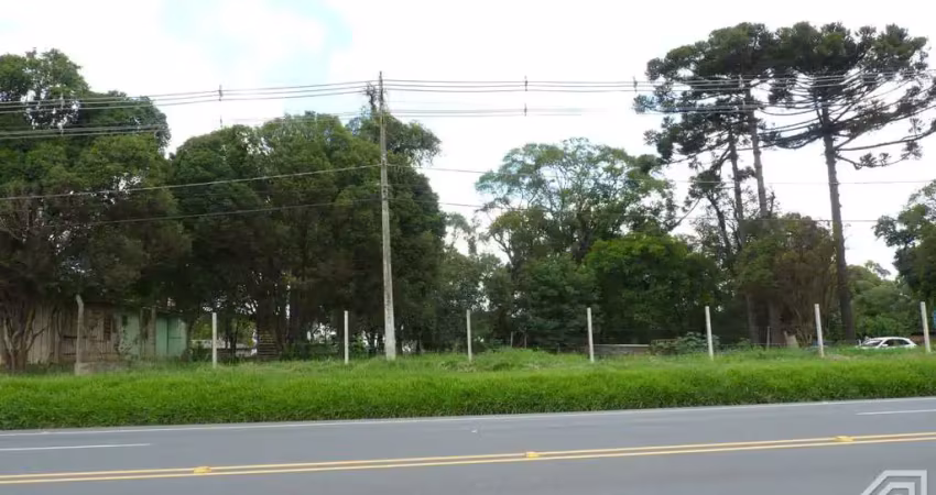 Terreno de 1.342,73m²  rodovia br-376 - bairro piriquitos