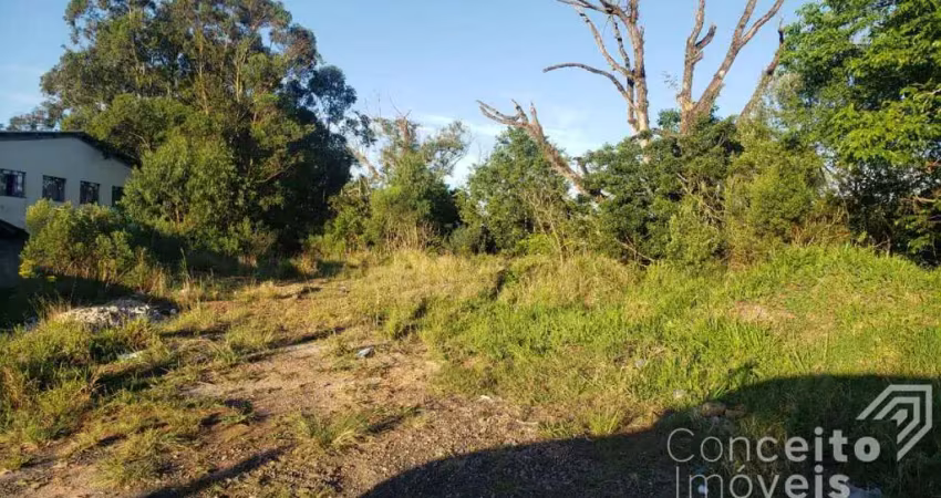 Terreno comercial para alugar na Avenida Souza Naves, lado do 38, Chapada, Ponta Grossa