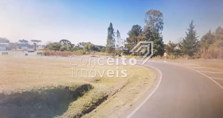 Terreno comercial no trevo br 373 - saída para br 376