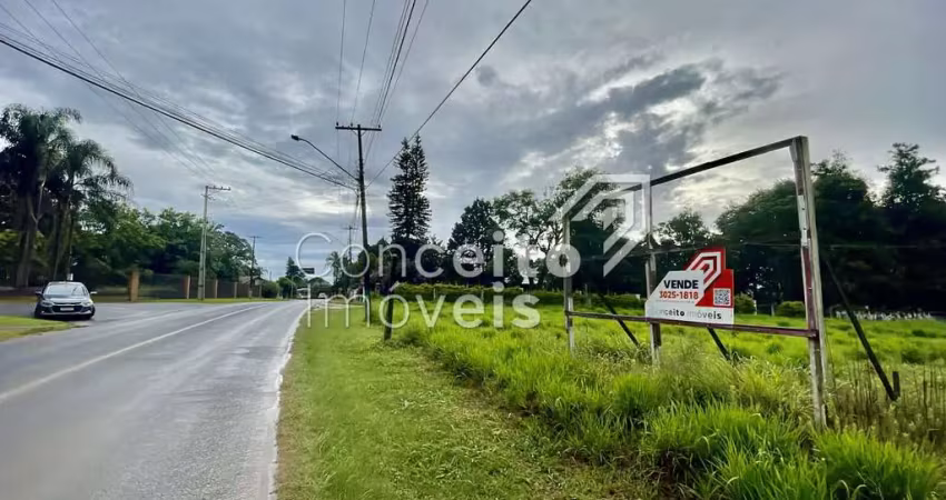 Terreno à venda na Avenida dos Pioneiros, Em frente , Centro, Carambeí