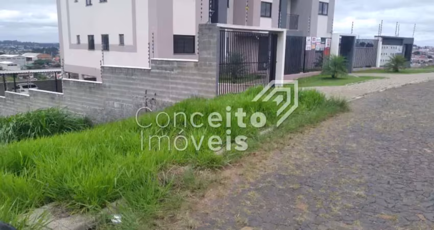 Terreno à venda na Rua Avelino Pereira de Campos, Lado 177, Chapada, Ponta Grossa
