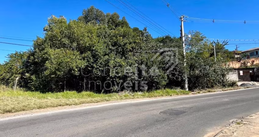 Terreno com 1.128m² - Palmeirinha