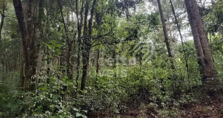 Chácara / sítio à venda no Bom Sucesso, Castro 