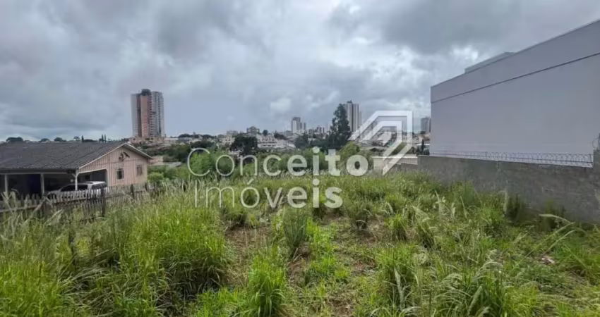 Terreno à venda na Rua Doutor Luiz Conrado Mansani, 000, Oficinas, Ponta Grossa