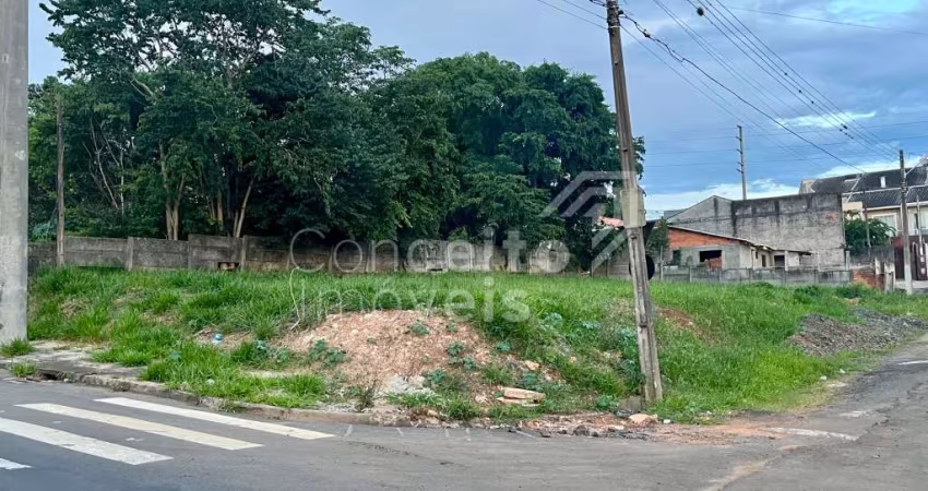 Terreno de Esquina com 495 m² - Uvaranas