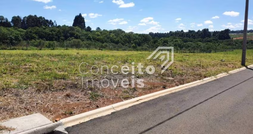 Condomínio Reserva Ecoville II - Terreno com 282m²