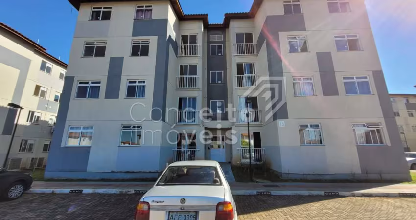 Condomínio Residencial Vida Nova II - Uvaranas - Apartamento