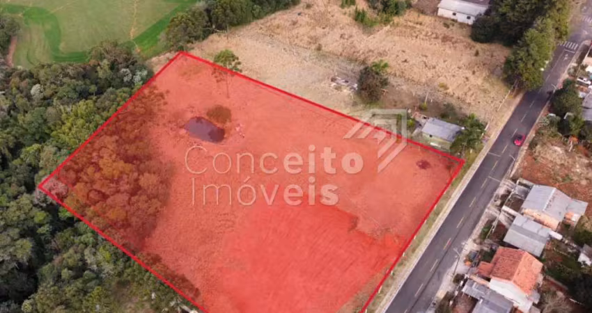 Terreno comercial para alugar no Chapada, Ponta Grossa 
