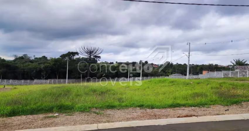 Terreno em condomínio fechado à venda no Neves, Ponta Grossa 