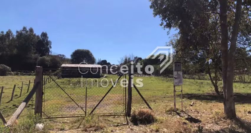 Terreno à venda no Cará-cará, Ponta Grossa 