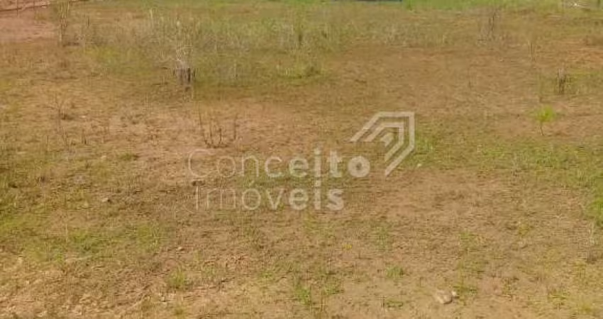 Terreno à Venda Porto Grande - Araquari/SC 240 m²