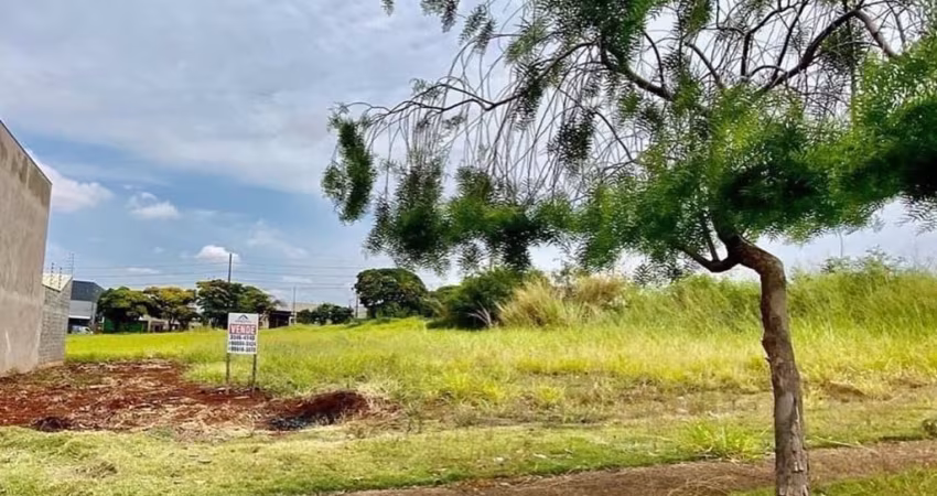 Terreno 318 ㎡ próx ao Pq. Do Japão