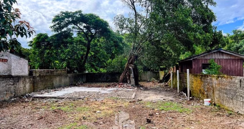 Terreno plaino e limpo em Santa Terezinha